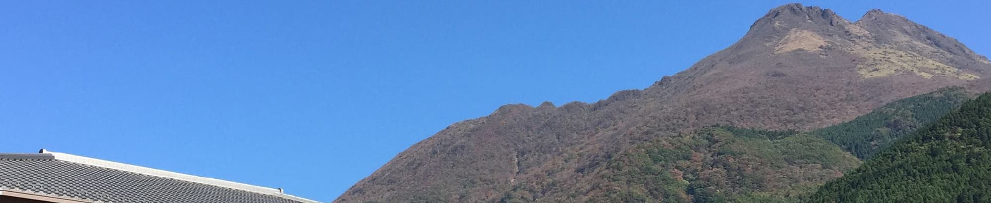 オンライン予約ご利用方法